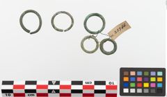 Foto von Bronzering (NHMW-PRAE-023766)